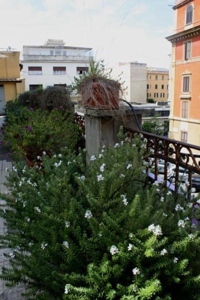 Eleven Apartment Rome Buitenkant foto